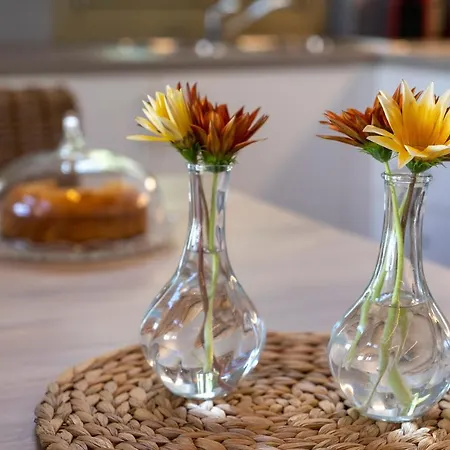 Willa Jasmine Platanidia