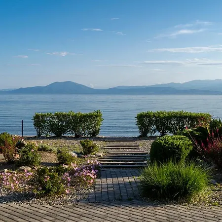 Jasmine Willa Platanidia